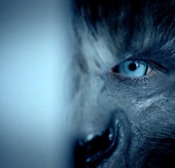 Wolves: فيلم رعب ضعيف جدًا