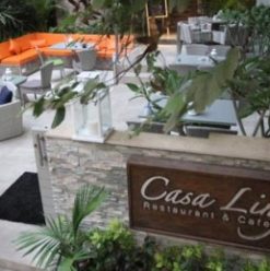 Casa Lingo: Simple Food Done Well at Comfy Restaurant & Cafe in Maadi