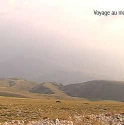 بانوراما الفيلم الأوربي: عرض “رحلة إلى جبل تومور” بسينما زاوية