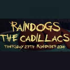 Raindogs & the Cadillacs at Cairo Jazz Club