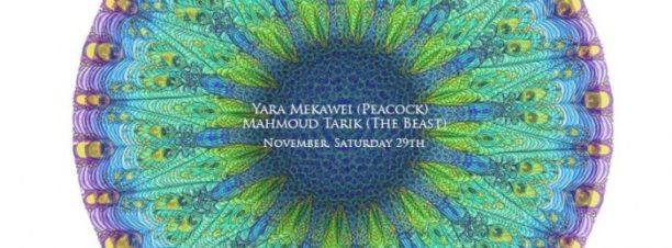 Yara Mekawei & Mahmoud Tarik (Peacock & The Beast) at Balcon Lounge