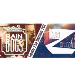 Bluezophrenia & Raindogs at Cairo Jazz Club