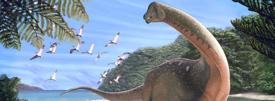 منصوراصورس.. حكاية اكتشاف ديناصور مصري في الواحات