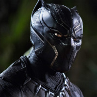 Black Panther: All Hail the King!