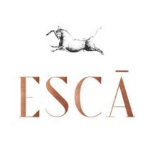 ESCA
