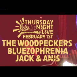 The Woodpeckers, Bluezophrenia and Jack & Anis at Cairo Jazz Club