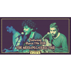 The Woodpeckers Trio @ Cairo Jazz Club 610