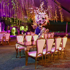 Royal Maxim Palace Is Working Wedding Wonders