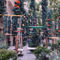 Downtown Cairo Just Got a Spring Themed Makeover