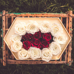 The Cairo 360 Editors’ Choice Awards 2018: Specialist Retailers Award Winners