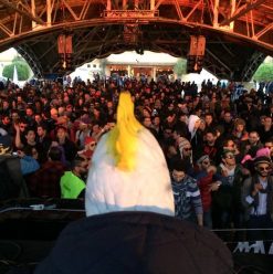 Cairo Weekend Guide: NEOBYRD, Wust El Balad, RT Nuba & More…