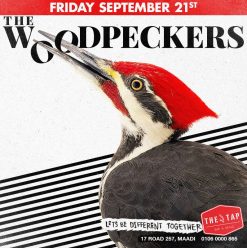 The Woodpeckers @ The Tap Maadi