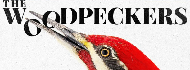 The Woodpeckers @ The Tap Maadi