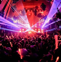 Cairo Weekend Guide: Glass Onion, Dirty Backseat, Dokkan & More…