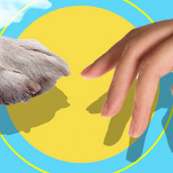 The Courtyard Brings You Some Puppy Love This Friday