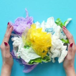 These Egyptian Companies Are Looking to Save the Environment