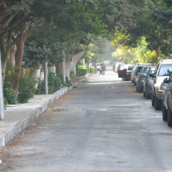 Greenish to Launch Its ‘Aware Streets Project’ in Maadi