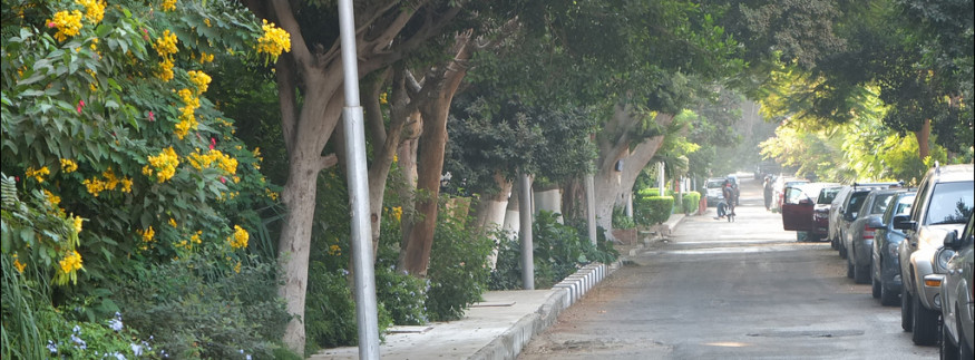 Greenish to Launch Its ‘Aware Streets Project’ in Maadi