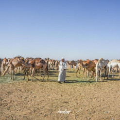 Shalateen: A Forgotten Beautiful City in the South-East of Egypt