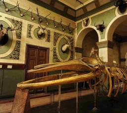The Agricultural Museum in Cairo: Everything You Need to Know About the World’s Very First Agricultural Museum The Agricultural Museum in Cairo: Everything You Need to Know About the World’s Very First Agricultural Museum