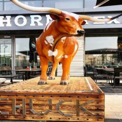 Longhorn Texas BBQ, Arkan Plaza