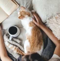 4 Books You Should Read This Autumn!