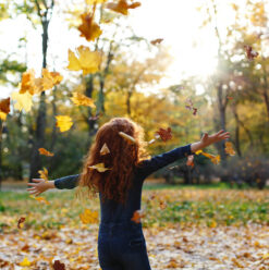Autumn Activities to Do in Cairo!