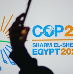 COP27: Everything You Need to Know About the United Nations Climate Change Conference in Sharm El-Sheikh