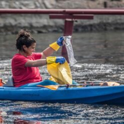 Clean-Up Efforts in Egypt: Working Towards a Greener Future