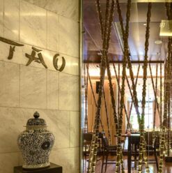 TAO: An Impeccable Fine Dining Experience Featuring Excellent Asian Cuisine