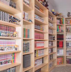 5 Places Where You Can Buy Manga and Comics in Egypt!