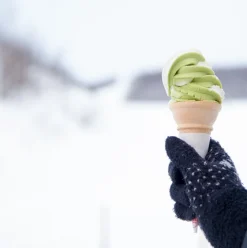 Hot Right Now: Shops Serving Winter Ice Cream Flavours