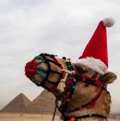 Keep Calm and Have a Merry Christmas: Where to Celebrate this Week