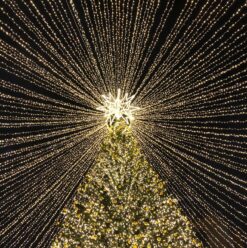 Merry & Bright: Your Last Chance at Celebrating Christmas’22