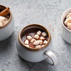Hot Coco in Seconds: Best Store-bought Instant Hot Chocolate Brands