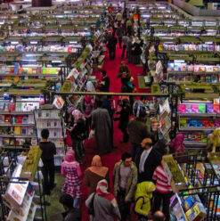 2022’s Best Books to Search for at Cairo International Book Fair