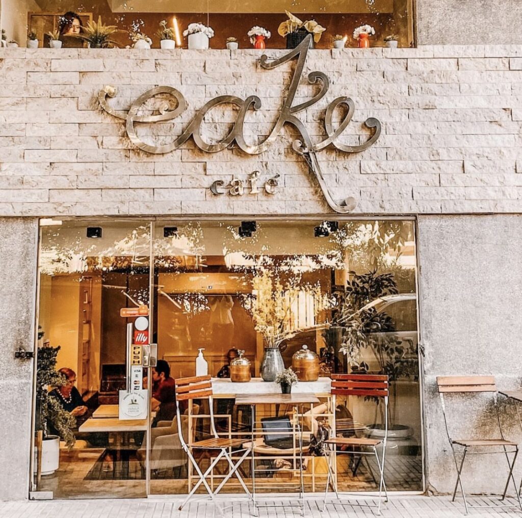 How To Spend the Day With Your Furry Friend Cairo 360 Guide to Cairo