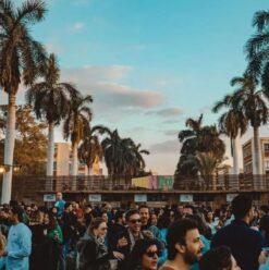 Weekend Guide: Funk n Pop, Shababco, Grill Setup and More!