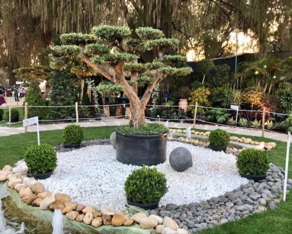 Discover These 13 Hidden Gems Scattered Around Cairo Cairo 360 Guide discover-these-13-hidden-gems-scattered-around-cairo-cairo-360-guide