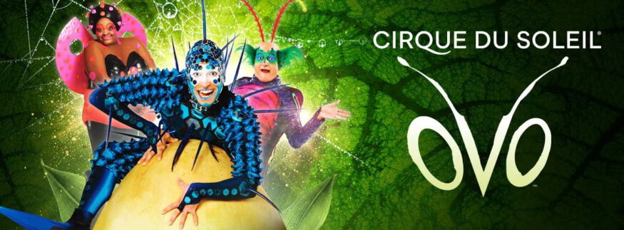 Cirque du Soleil Double Flips and Lands in Egypt