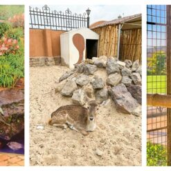 “طيبة روز بلازا”.. حديقة حيوان مصغرة مفتوحة في القاهرة الجديدة