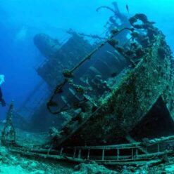 7 Incredible Dive Sites in Egypt