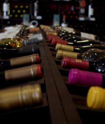 Welcome to the World of Egyptian Wine