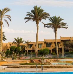 The Hidden Gem of Ras Sudr: Your Ultimate Summer Escape