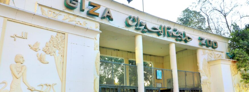 Giza Zoo Closes to Undergo Renovations for the Coming 18 Months