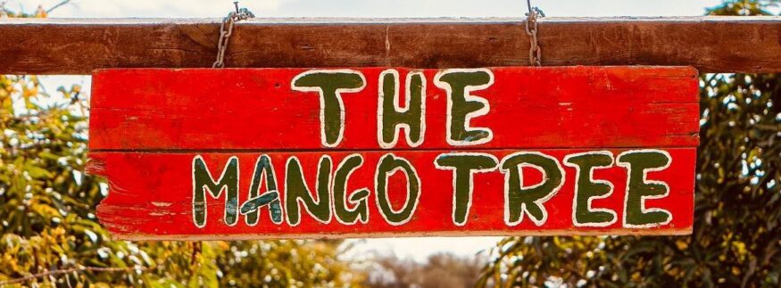 The Mango Tree: An Idyllic Family Retreat in Cairo