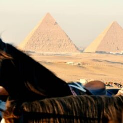 5 Places in Cairo to go Horseback Riding