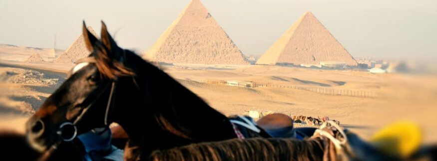 5 Places in Cairo to go Horseback Riding