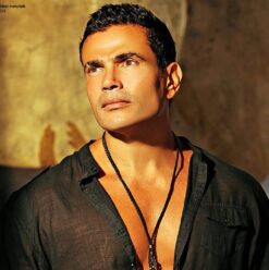 Heal Your Heartbreak With an Amr Diab Song for Every Type of Breakup