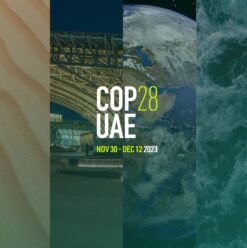 100 Days Until COP28: Here is Why We Should All Care